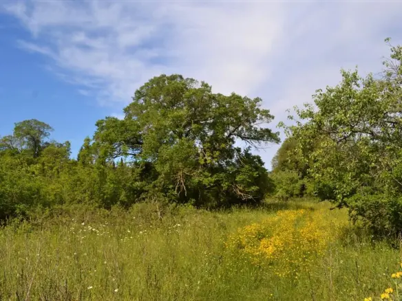 Land In Corfu, Greece