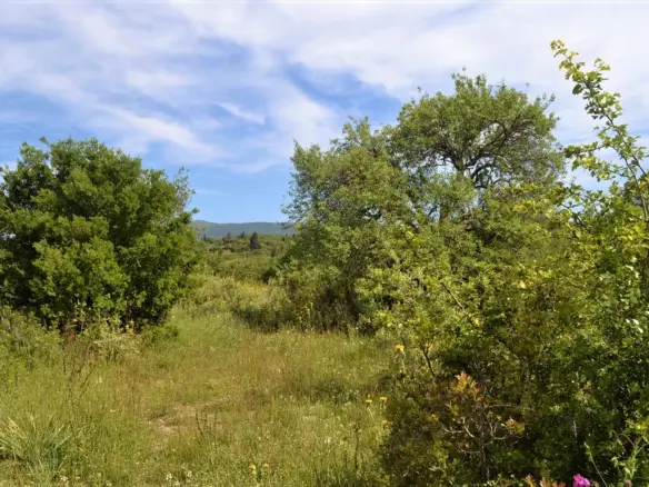 Land In Corfu, Greece