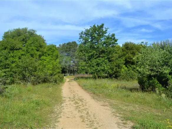 Land In Corfu, Greece