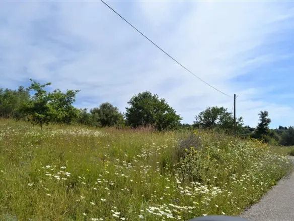 Land In Corfu, Greece (160 M²)