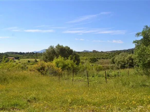 Land In Corfu, Greece (160 M²)