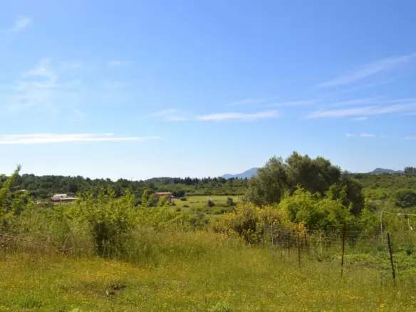 Land In Corfu, Greece (160 M²)