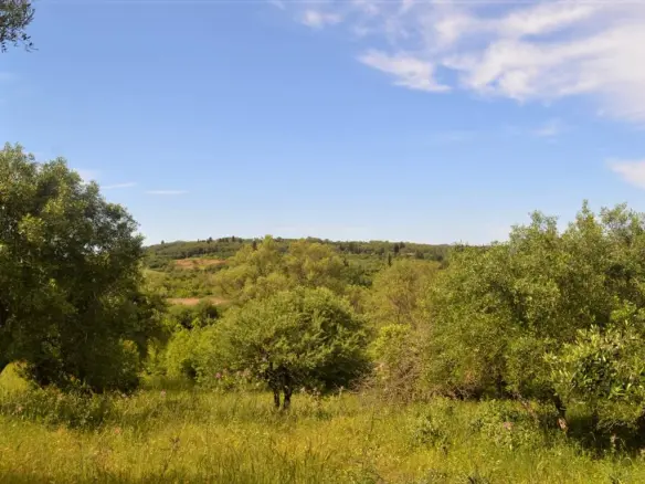 Land In Corfu, Greece (160 M²)