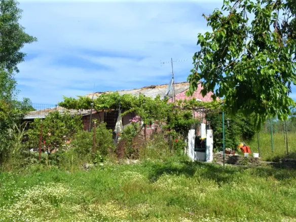 Land In Corfu, Greece (160 M²)