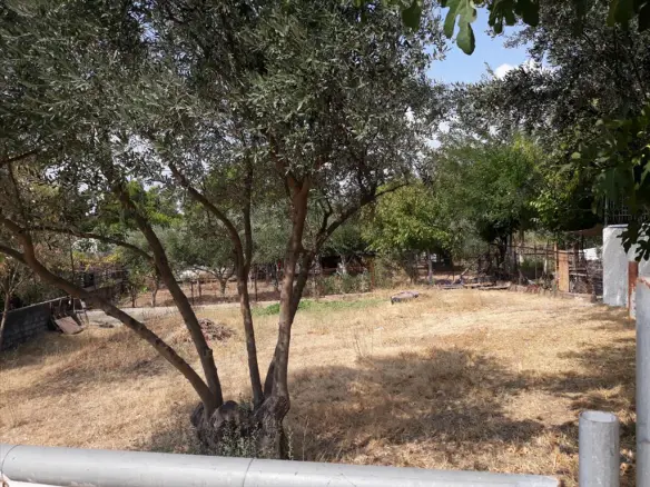 Land In Melissia, Greece