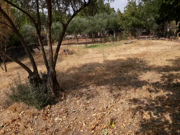 Land In Melissia, Greece