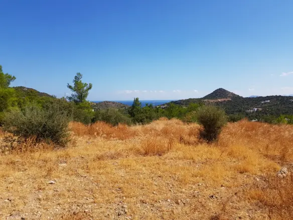 Land In Agios Nikolaos, Greece