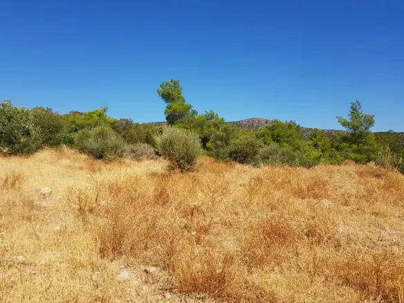 Land In Agios Nikolaos, Greece