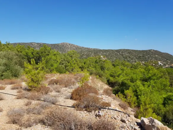 Land In Agios Nikolaos, Greece