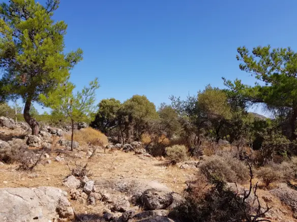 Land In Agios Nikolaos, Greece
