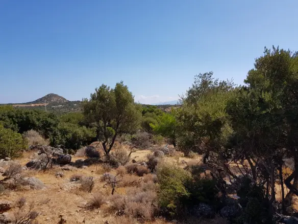 Land In Agios Nikolaos, Greece