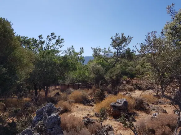 Land In Agios Nikolaos, Greece