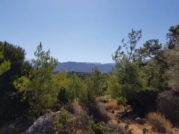 Land In Agios Nikolaos, Greece