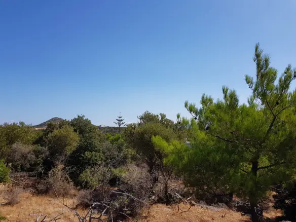 Land In Agios Nikolaos, Greece