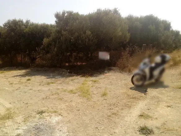 Land In Gazi, Greece