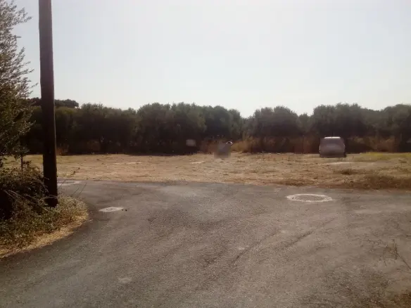 Land In Gazi, Greece
