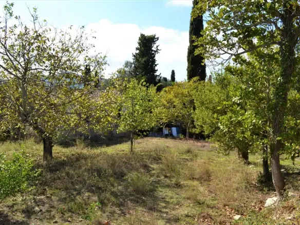 Land In Corfu, Greece