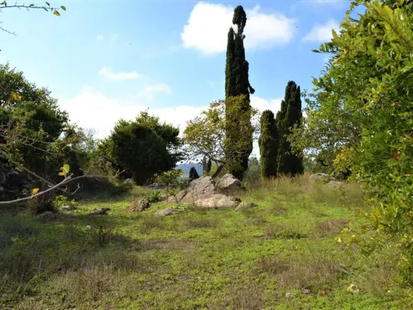 Land In Corfu, Greece