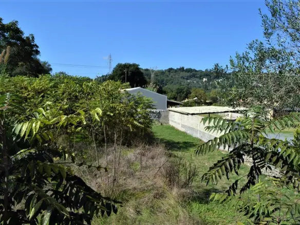 Land In Corfu, Greece