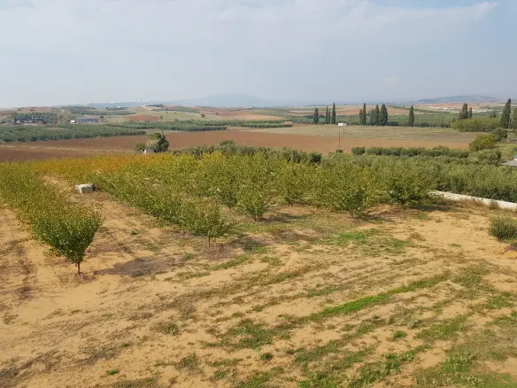 6-bedroom Detached House In Sithonia, Greece (400 M²)