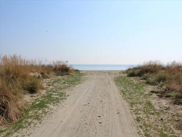 Land In Litochoro, Greece