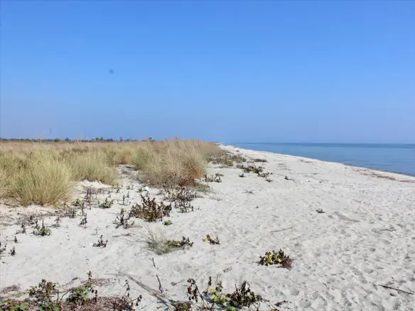 Land In Litochoro, Greece