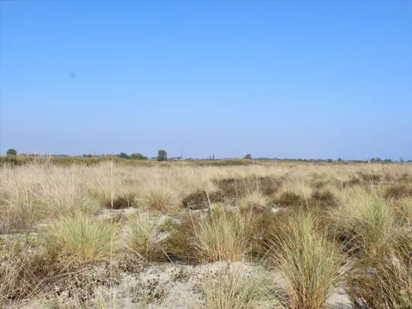 Land In Litochoro, Greece