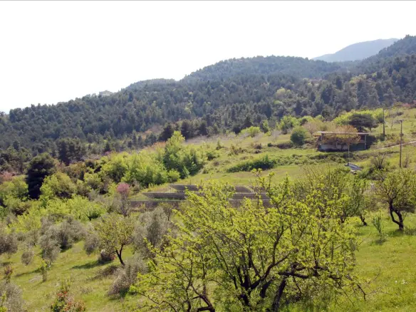 Business In Molos, Greece (350 M²)