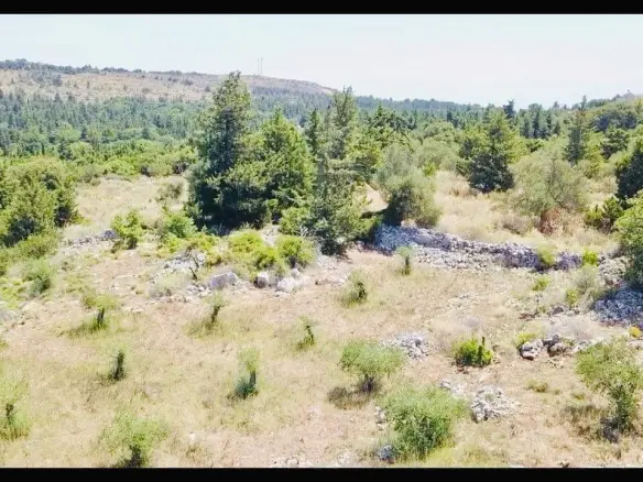 Land In Vamos, Greece