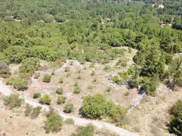 Land In Vamos, Greece