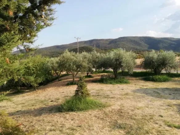 4-bedroom Detached House In Apollonia, Greece (140 M²)