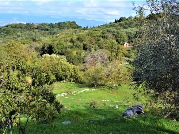 Land In Corfu, Greece