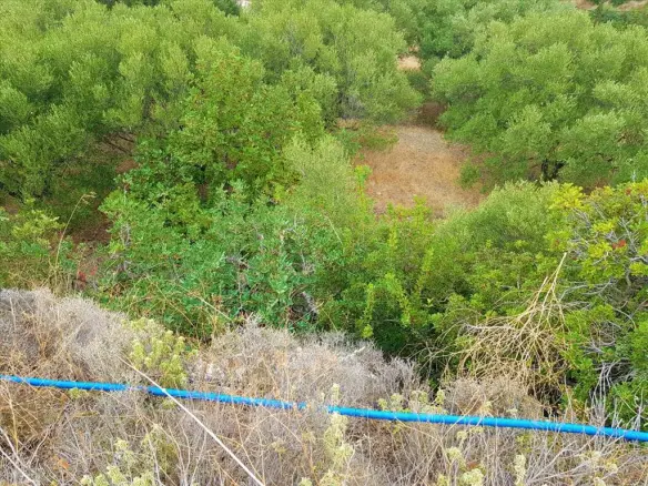 Land In Neapoli, Greece