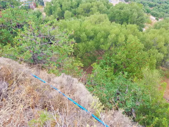 Land In Neapoli, Greece