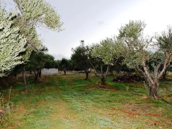 Land In Gouves, Greece