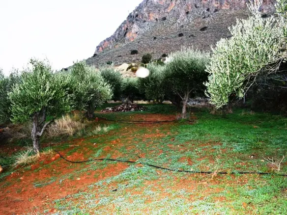 Land In Gouves, Greece