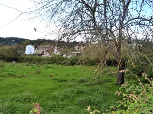 Land In Corfu, Greece