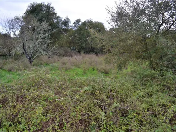 Land In Corfu, Greece