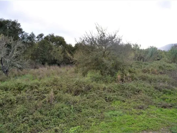Land In Corfu, Greece