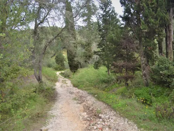 Land In Corfu, Greece