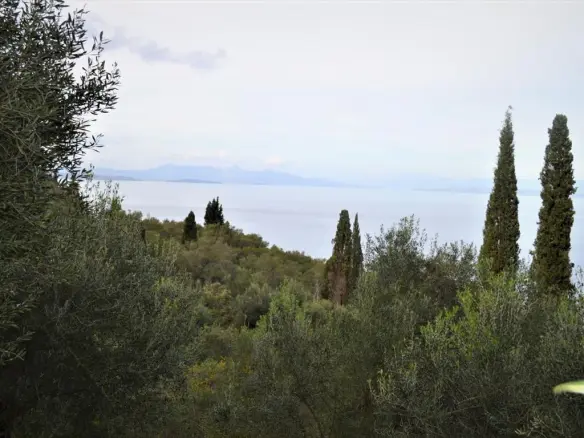 Land In Corfu, Greece