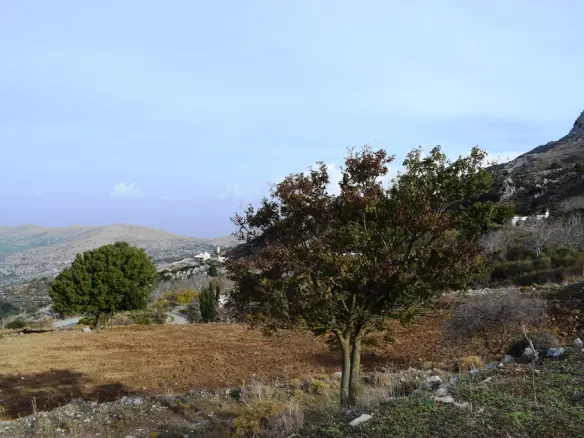 Land In Chersonisos, Greece