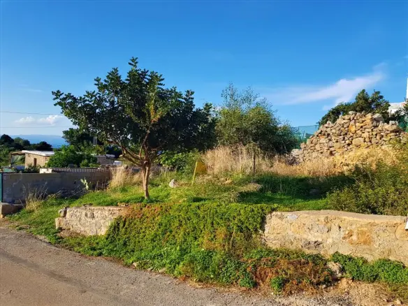 Land In Vrachasi, Greece
