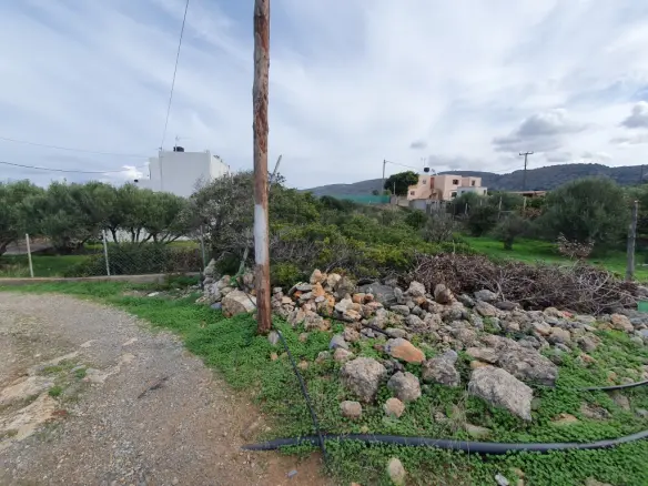 Land In Neapoli, Greece