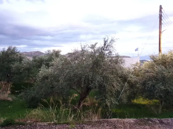 Land In Agios Nikolaos, Greece