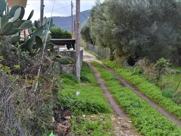 Land In Corfu, Greece (65 M²)