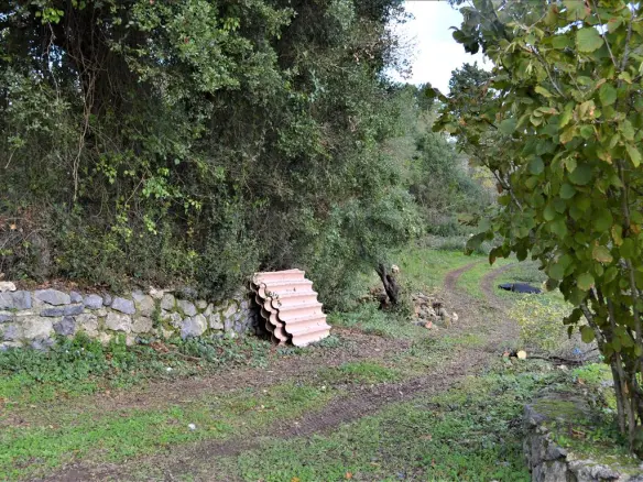 Land In Corfu, Greece (65 M²)