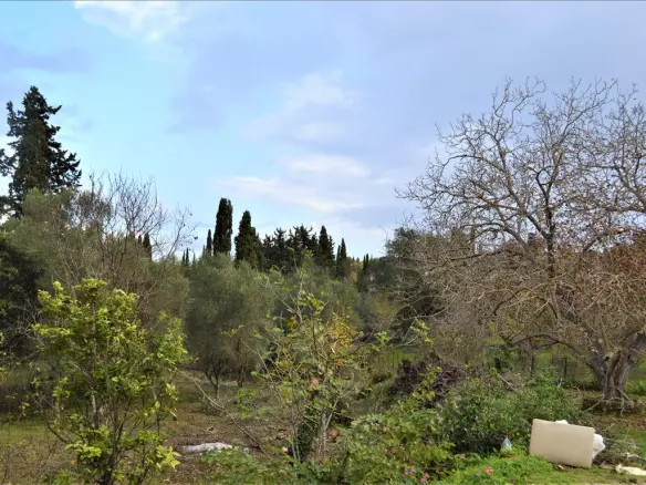 Land In Corfu, Greece (65 M²)