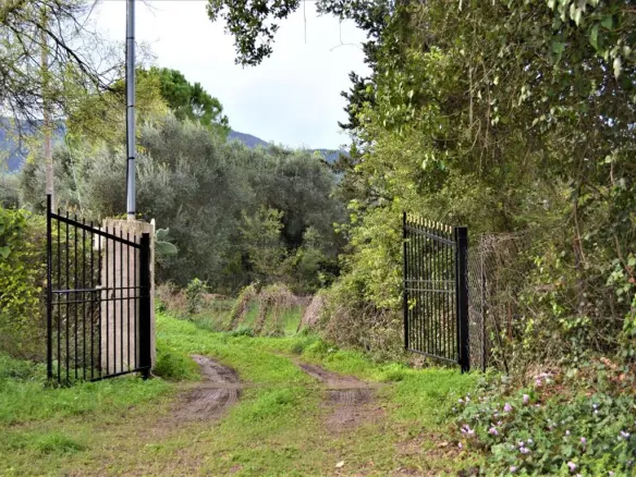 Land In Corfu, Greece (65 M²)