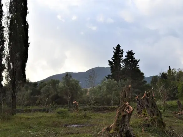 Land In Corfu, Greece (65 M²)